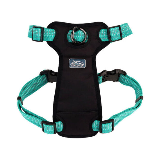 Coastal 1" Reflective Harness Ocean 26"-38"