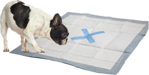 X Marks the Spot Puppy Pads 30ct