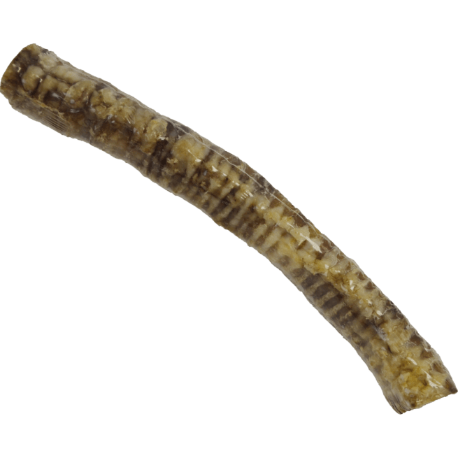 Great Lakes 12" Beef Trachea