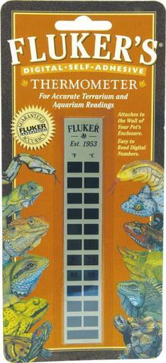 Flukers Thermometer Flat