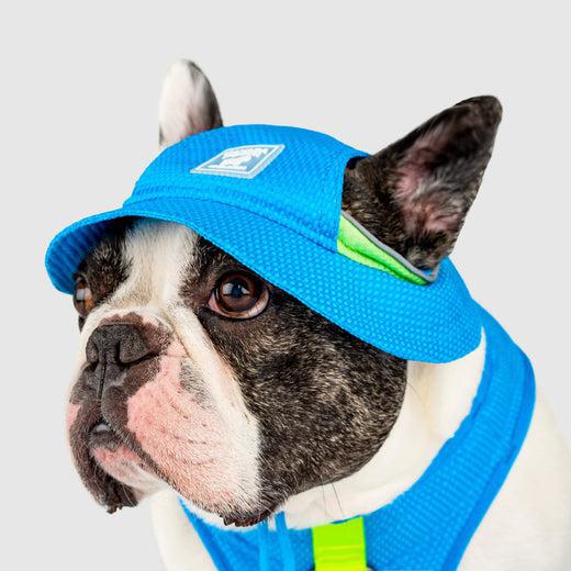 Canada Pooch Cooling Hat Blue SM