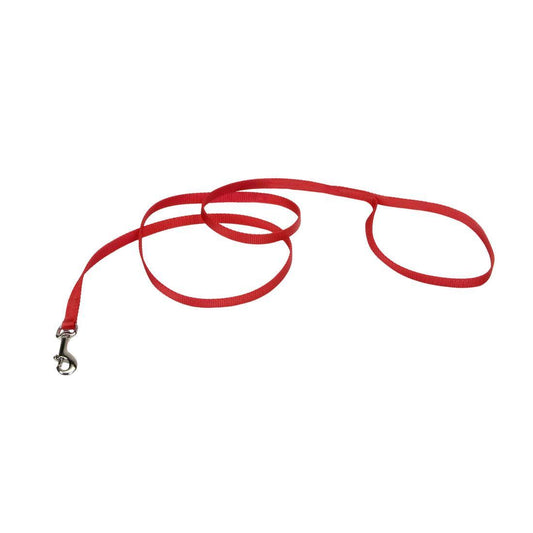 Coastal 5/8" Leash Red x6'