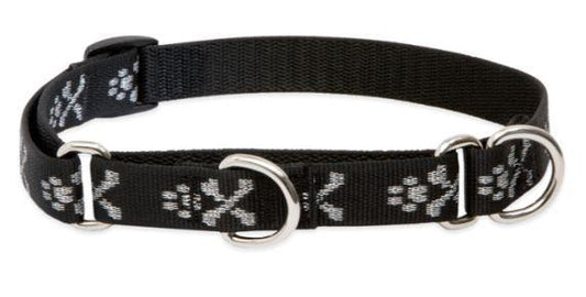 Lupine 3/4" Martingale Bonz 10"-14"