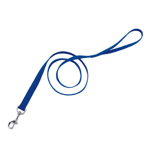 Coastal 1" Leash Blue x6'