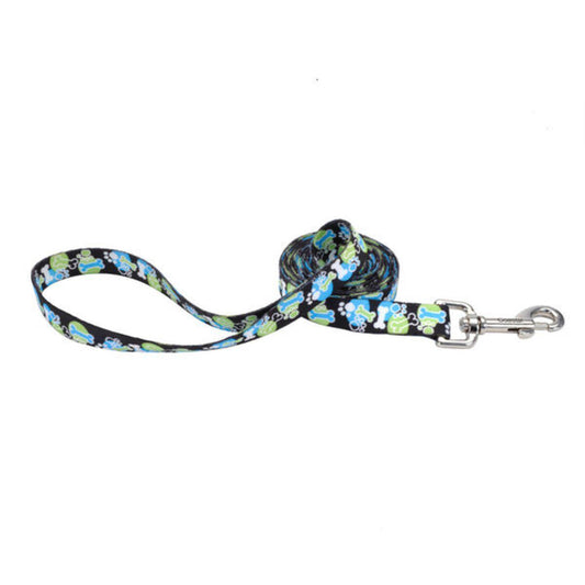 Coastal 1" Leash Outreach x6'