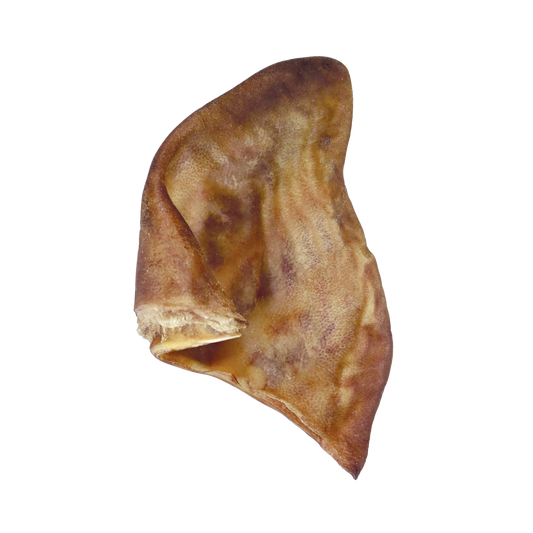 VE Pig Ear