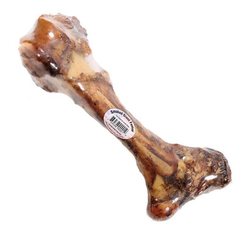 Best Buy Smoked Giant Femur