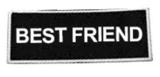 Boss Dog Velcro Patch - Best Friend LG