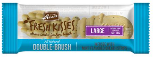 Fresh Kisses Mint Brush LG 1ct
