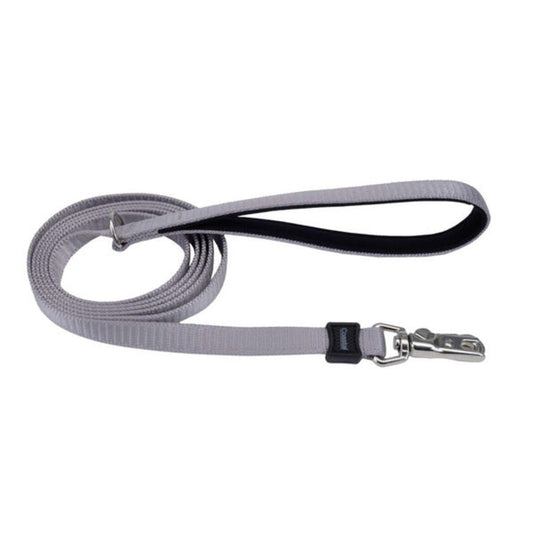 Coastal 1" Leash Grey x6'