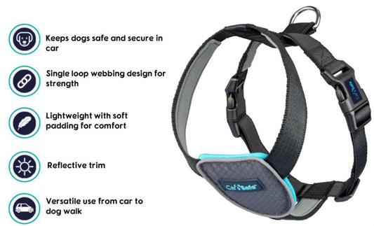 CarSafe Travel Harness LG Black