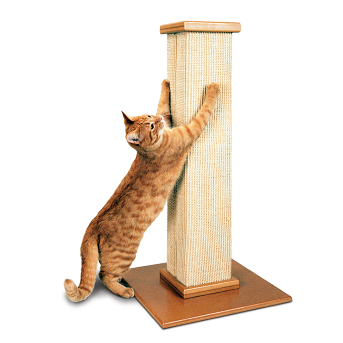 Pioneer Ultimate Scratch Post Tree Tan