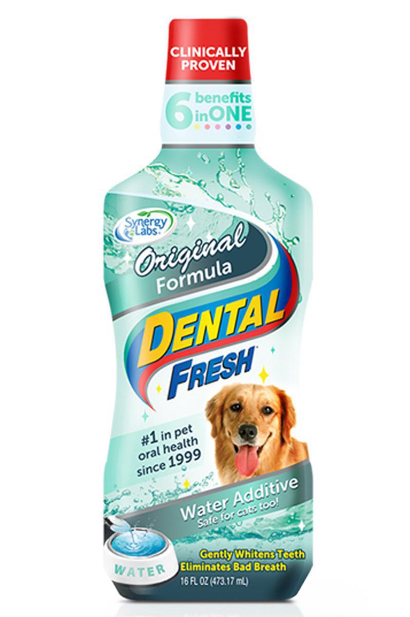 Synergy Labs Dental Fresh Original 17oz