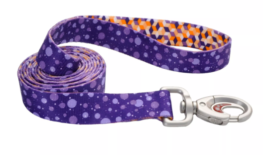 Coastal 1" Leash Purple Rain x6'