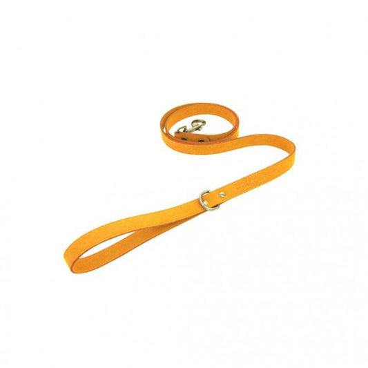 Gooby Active X Leash Orange