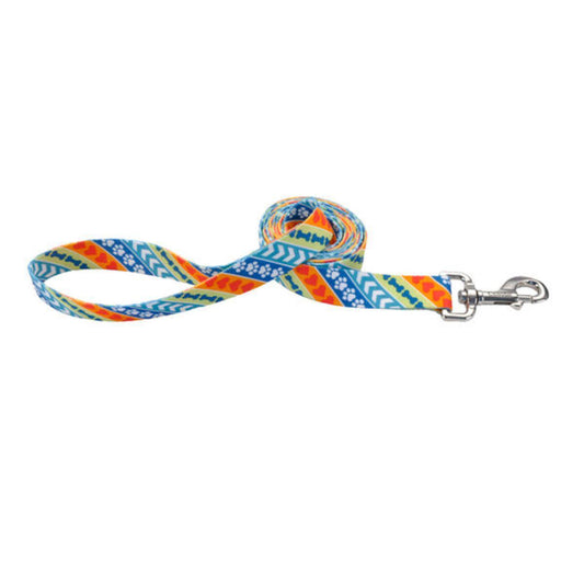 Coastal 1" Leash Rescue x6'