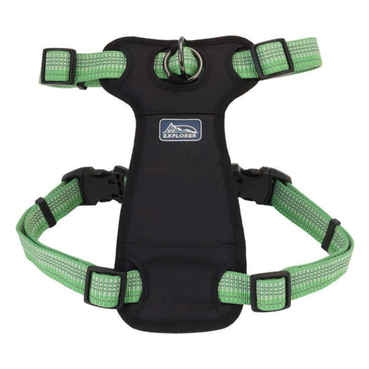 Coastal 1" Reflective Harness Meadow 26"-38"