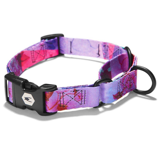 Coastal 5/8" Collar Martingale DRD 10-12