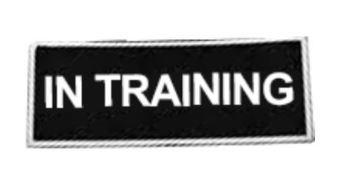 Boss Dog Velcro Patch - In Training LG