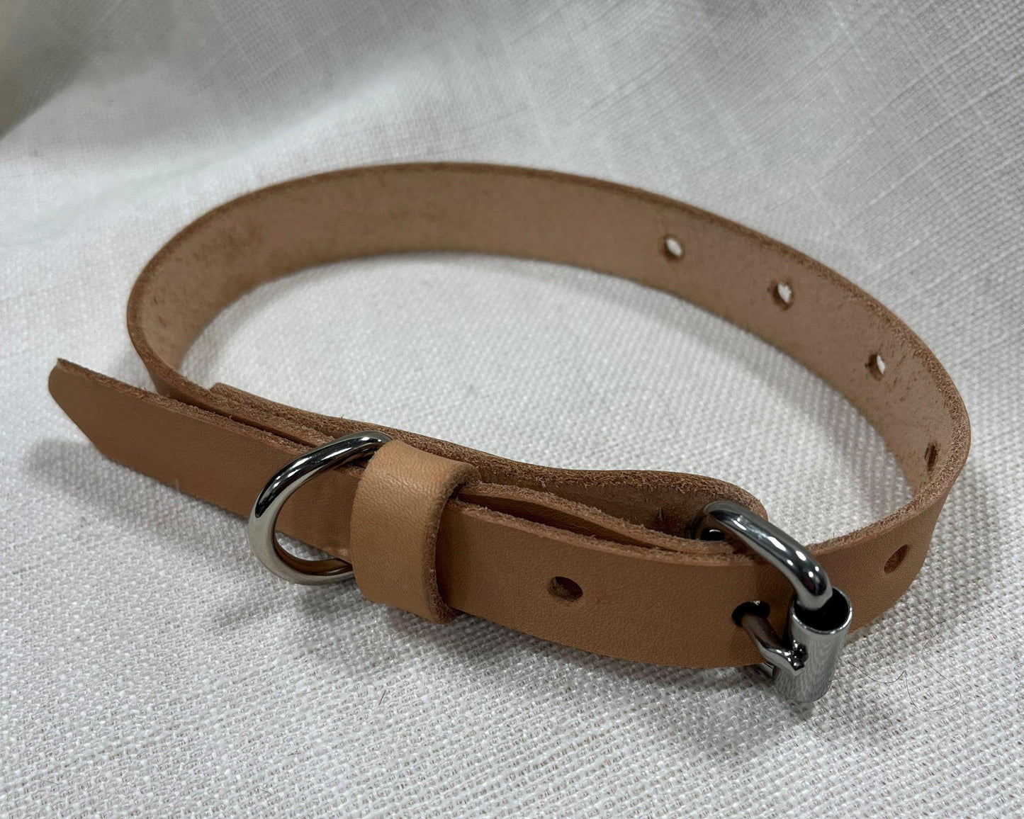 FHL Tan Collar SM