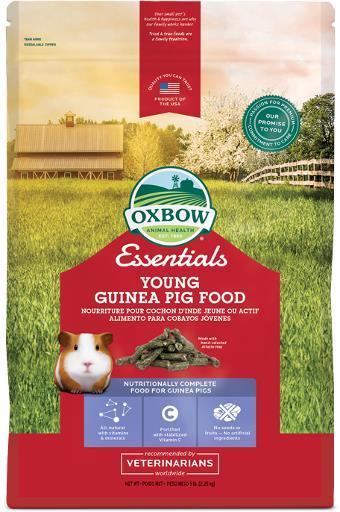 Essentials Young Guinea Pig 5#