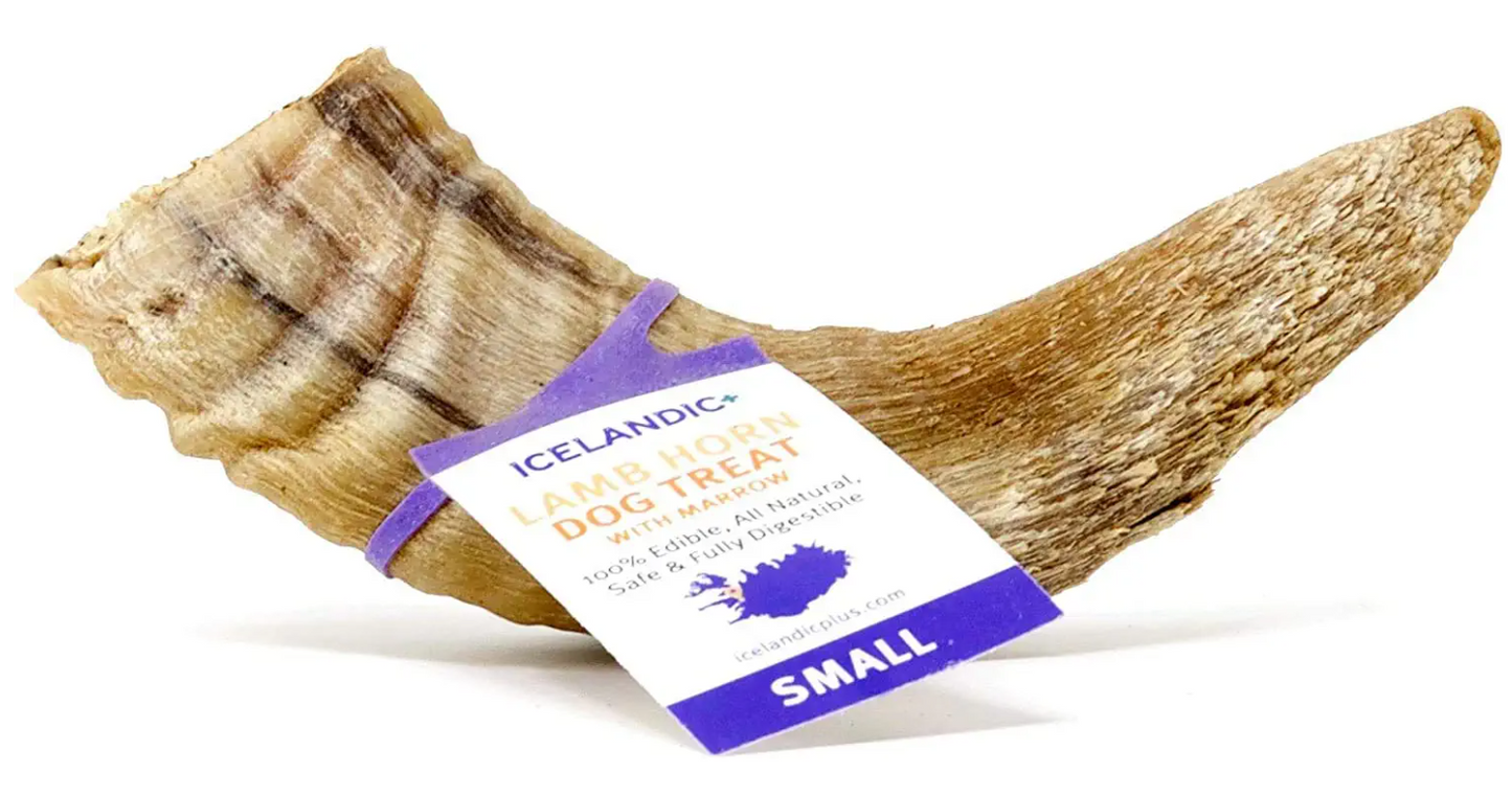 Icelandic Lamb Horn w/ Marrow 4"-4.7"