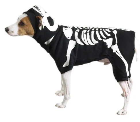 Boss Glow Bones Costume XSM