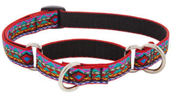 Lupine 3/4" Martingale El Paso 10"-14"