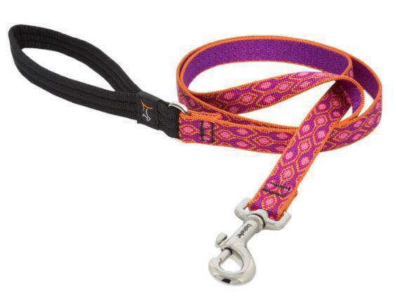 Lupine 3/4" Leash Alpen x6'