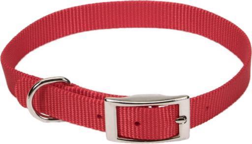 Coastal 5/8" Nylon Collar 12" Red